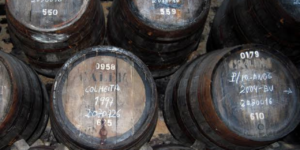 Tanques de vinho estouram e inundam ruas em Anadia, Portugal